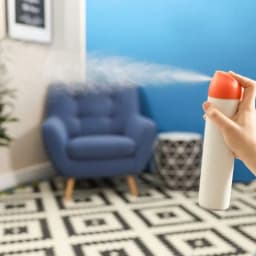 Air Freshener