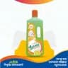 STG GREEN WASH LIQUID DETERGENT 1 L 1